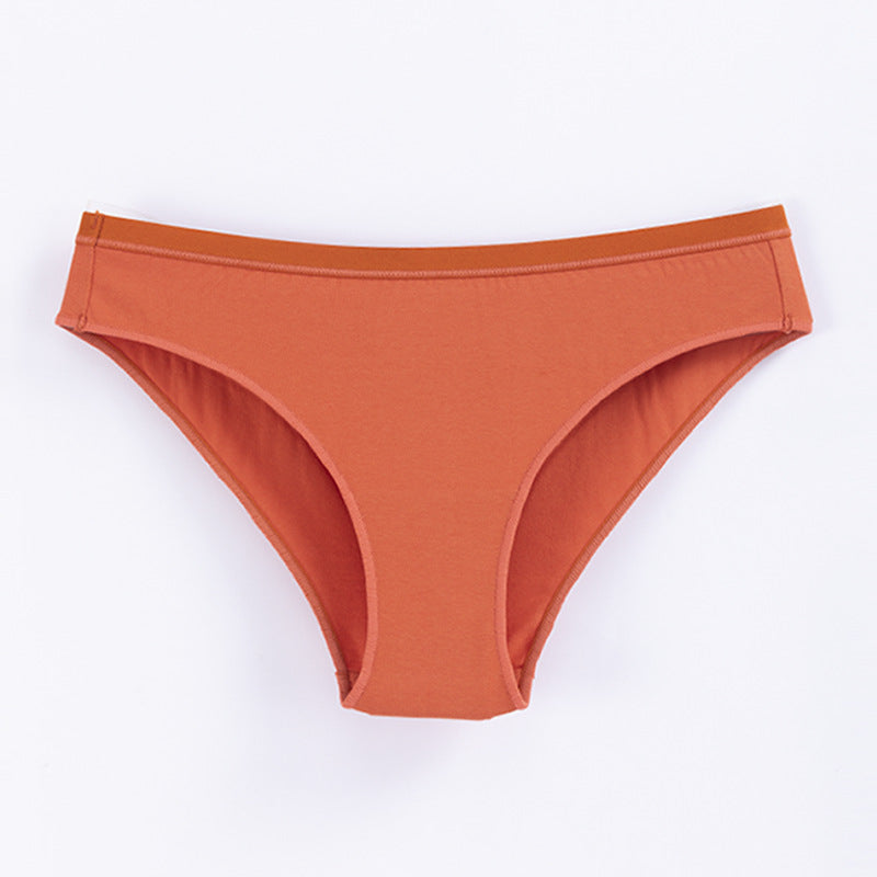 Freedombeauty | plus Size Underwear Women's 40 Combed Cotton Comfortable Solid Color Low Waist Women's Briefs Support Hot Sale