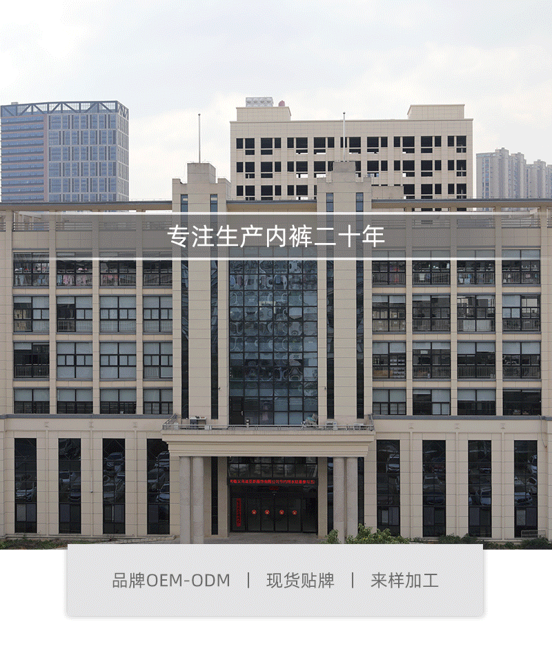 Freedombeauty | Pure Cotton T-Back Women's Sexy Lace Low Waist Briefs European Size Women's Underwear Hot Sale