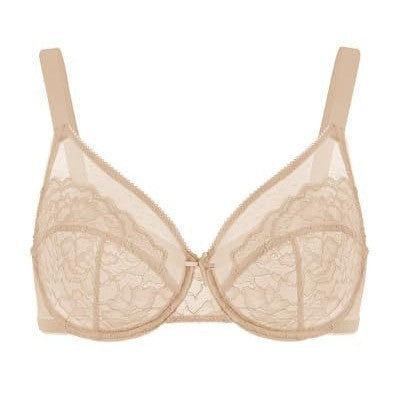 French sexy lace bra female Amazon cross-border foreign trade large size underwear ultra-thin mesh gathering bra European and American