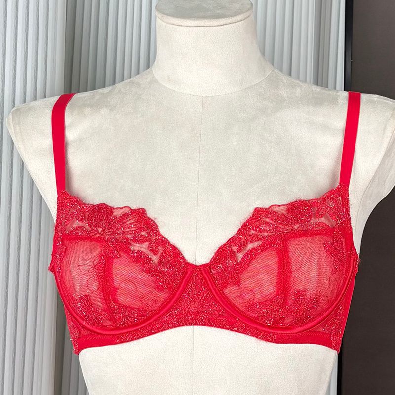 FREEDOMBEAUTY | FQ2887 Red velvet embroidery mesh sexy perspective women's bra steel rim thin set European and American foreign trade cross-border